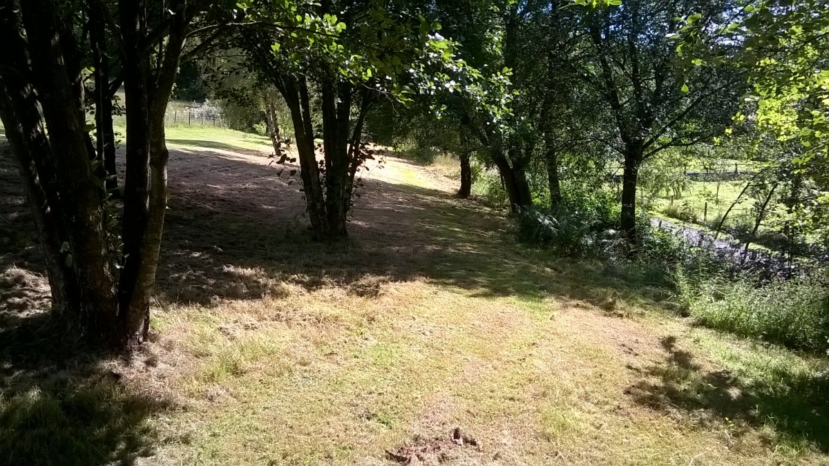 WP_20230816_15_45_40_Pro.jpg