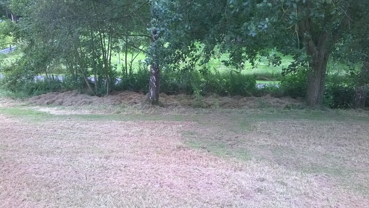 WP_20230817_15_05_55_Pro.jpg