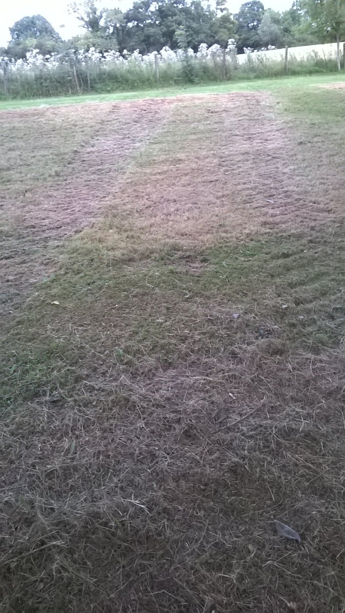 WP_20230823_19_36_34_Pro.jpg