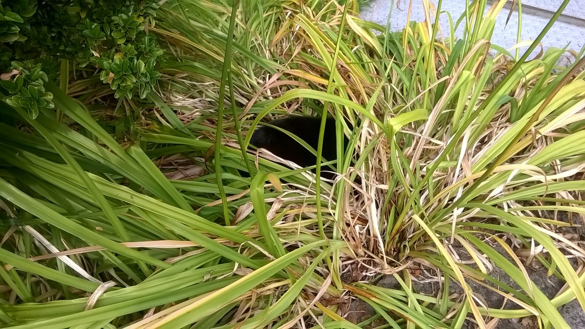 WP_20230906_12_12_12_Pro.jpg