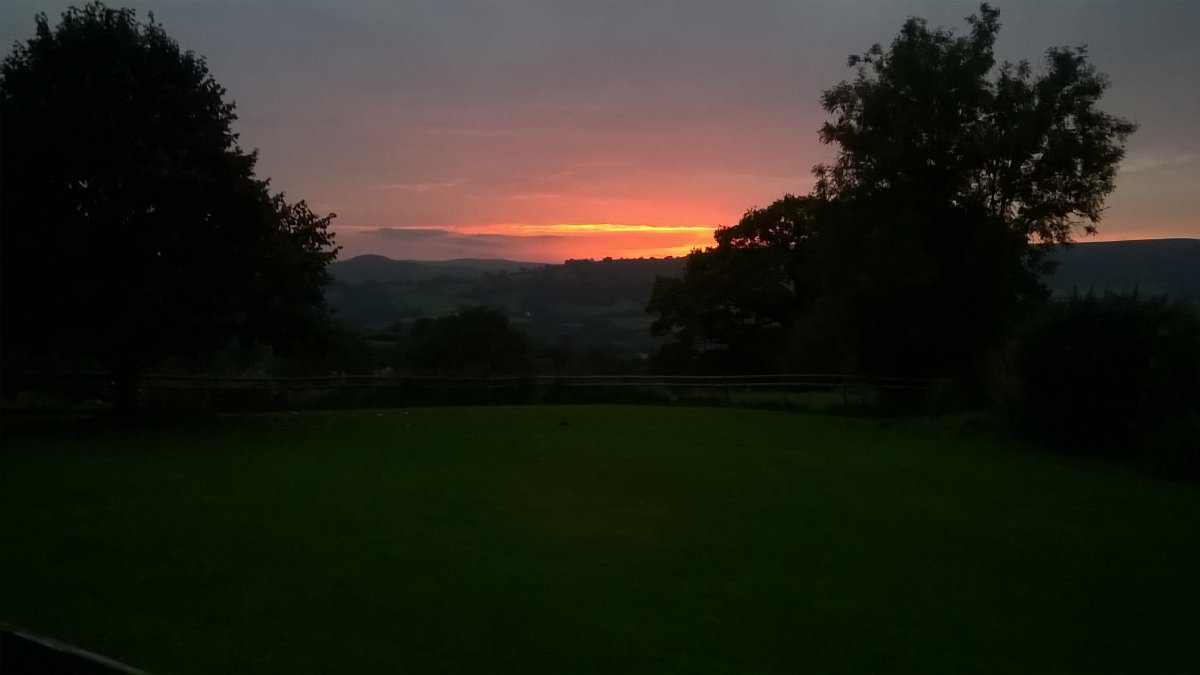 WP_20230908_19_47_38_Pro.jpg