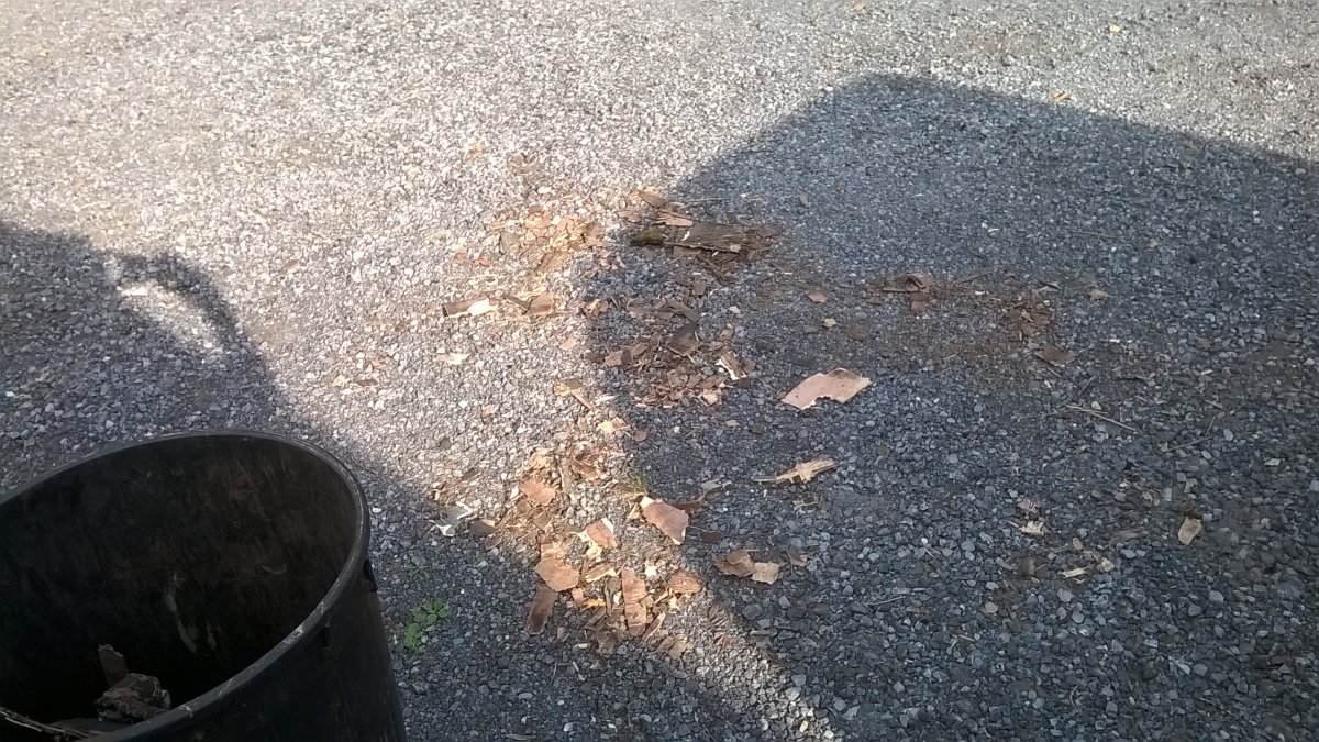 WP_20230909_16_46_47_Pro.jpg