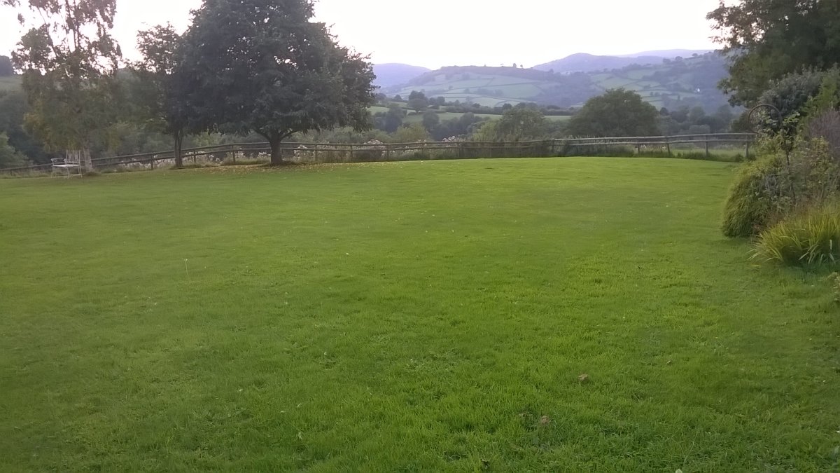 WP_20230909_17_10_33_Pro.jpg