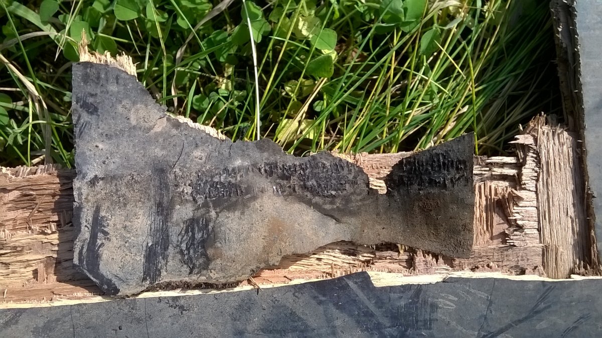 WP_20230913_14_07_06_Pro.jpg