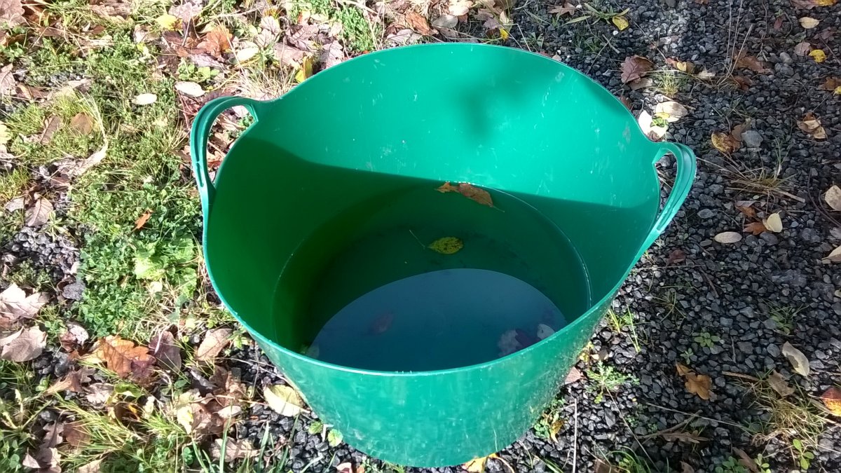 WP_20231020_14_33_55_Pro.jpg