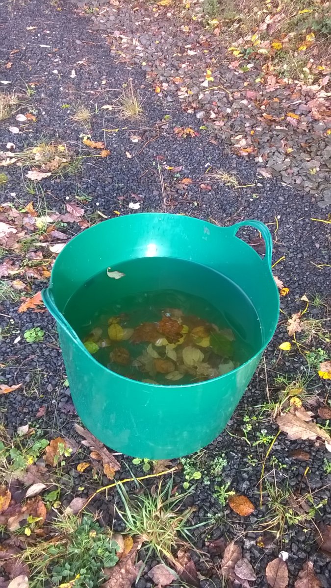 WP_20231104_14_21_46_Pro.jpg