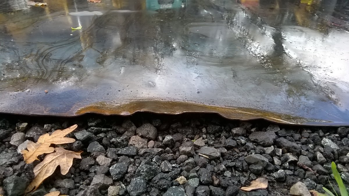 WP_20231110_11_17_54_Pro.jpg