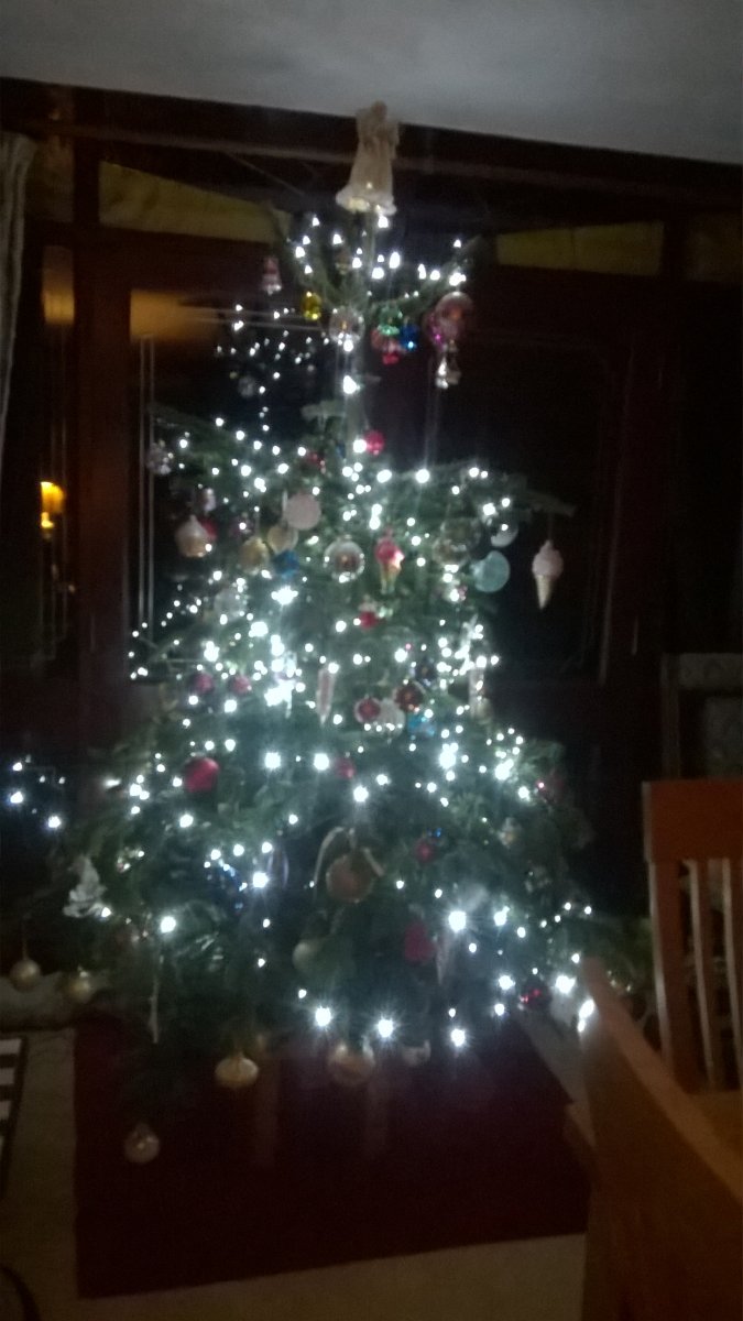 WP_20231213_22_58_08_Pro.jpg
