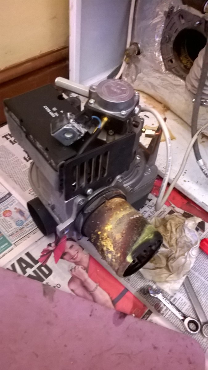 WP_20240126_11_43_49_Pro.jpg