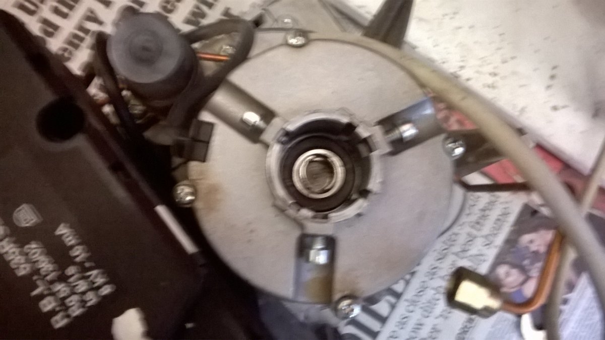WP_20240126_11_48_15_Pro.jpg