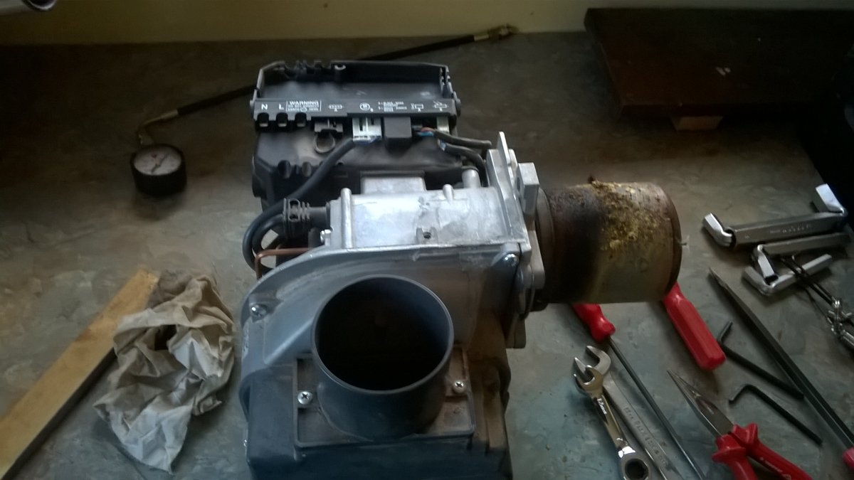 WP_20240126_15_17_52_Pro.jpg