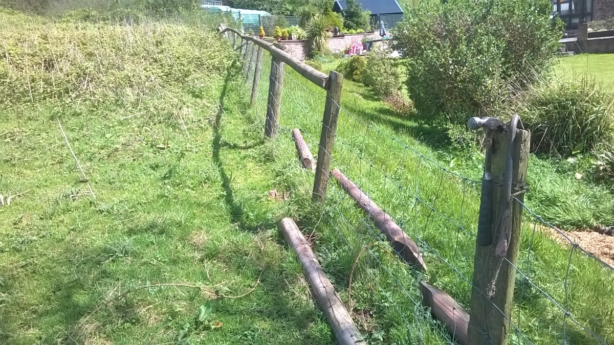 WP_20240504_14_03_06_Pro.jpg