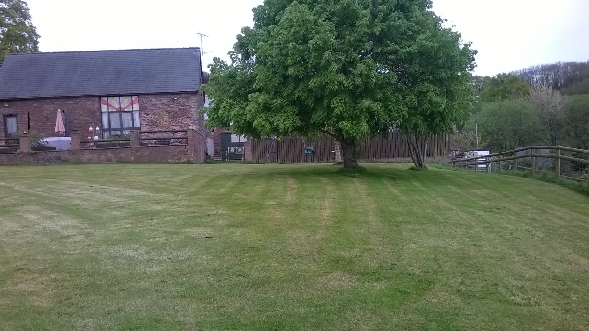 WP_20240508_19_21_10_Pro.jpg