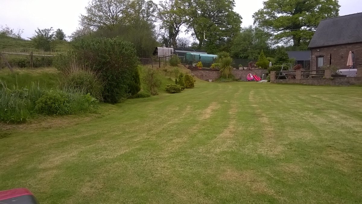 WP_20240508_19_21_19_Pro.jpg