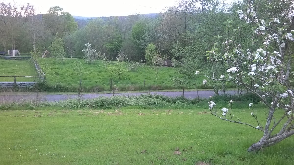 WP_20240508_19_38_16_Pro.jpg