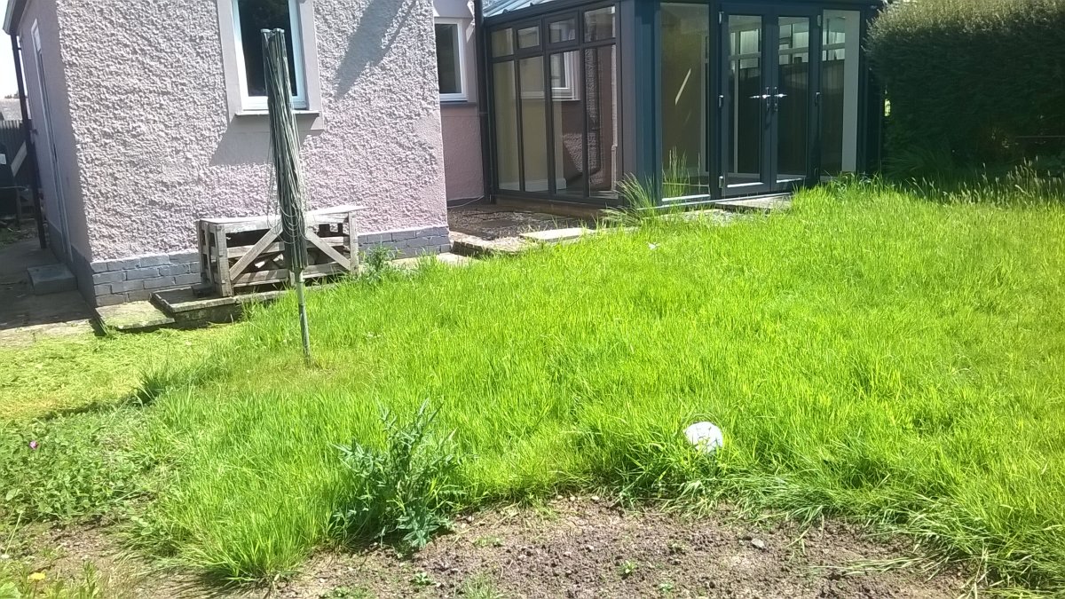 WP_20240520_11_59_28_Pro.jpg
