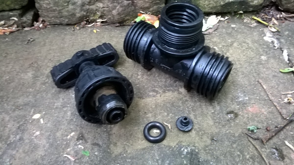 WP_20240523_10_47_36_Pro.jpg