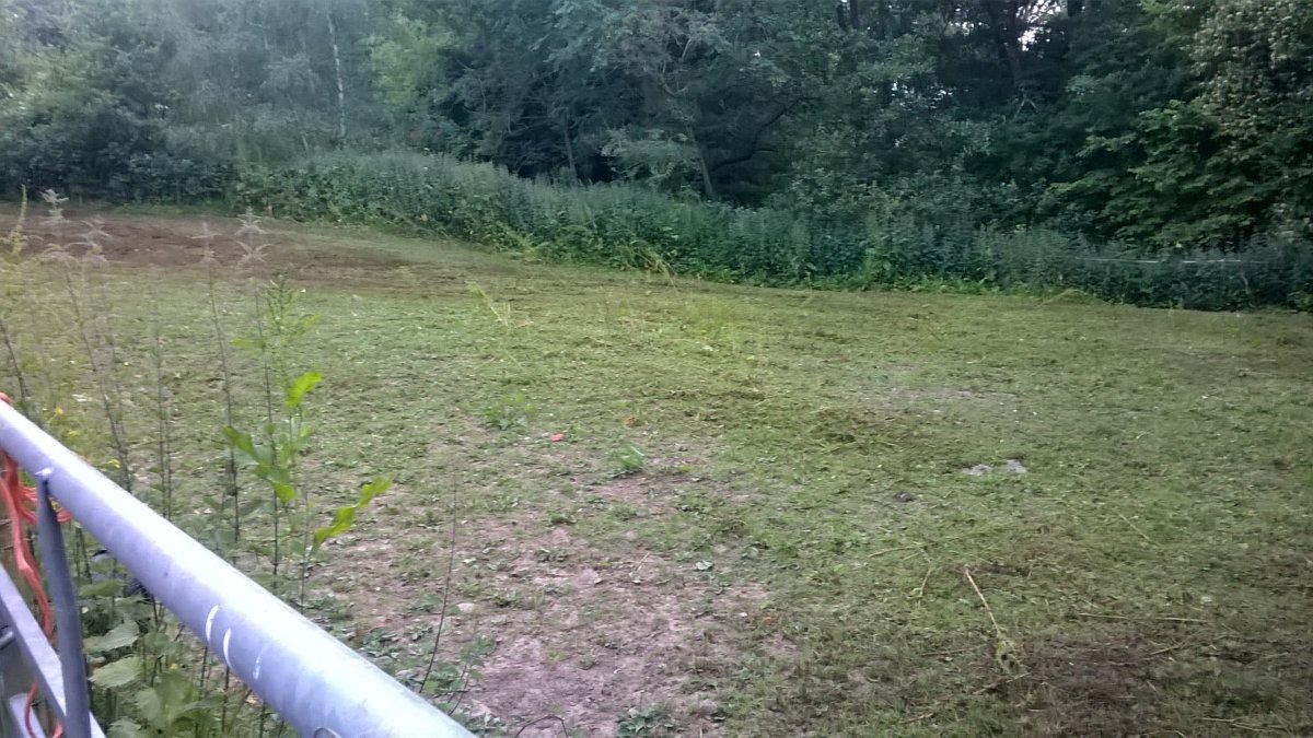 WP_20240625_20_32_44_Pro.jpg