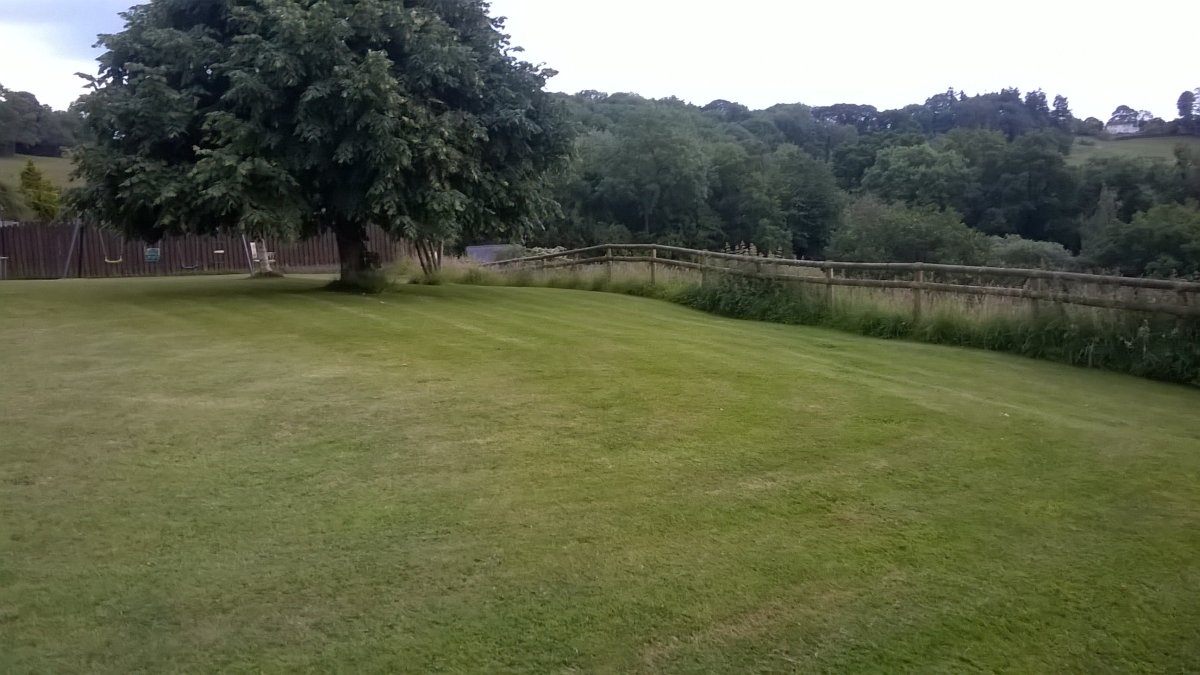 WP_20240625_20_56_03_Pro.jpg