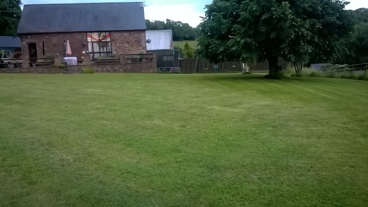 WP_20240625_20_56_09_Pro.jpg
