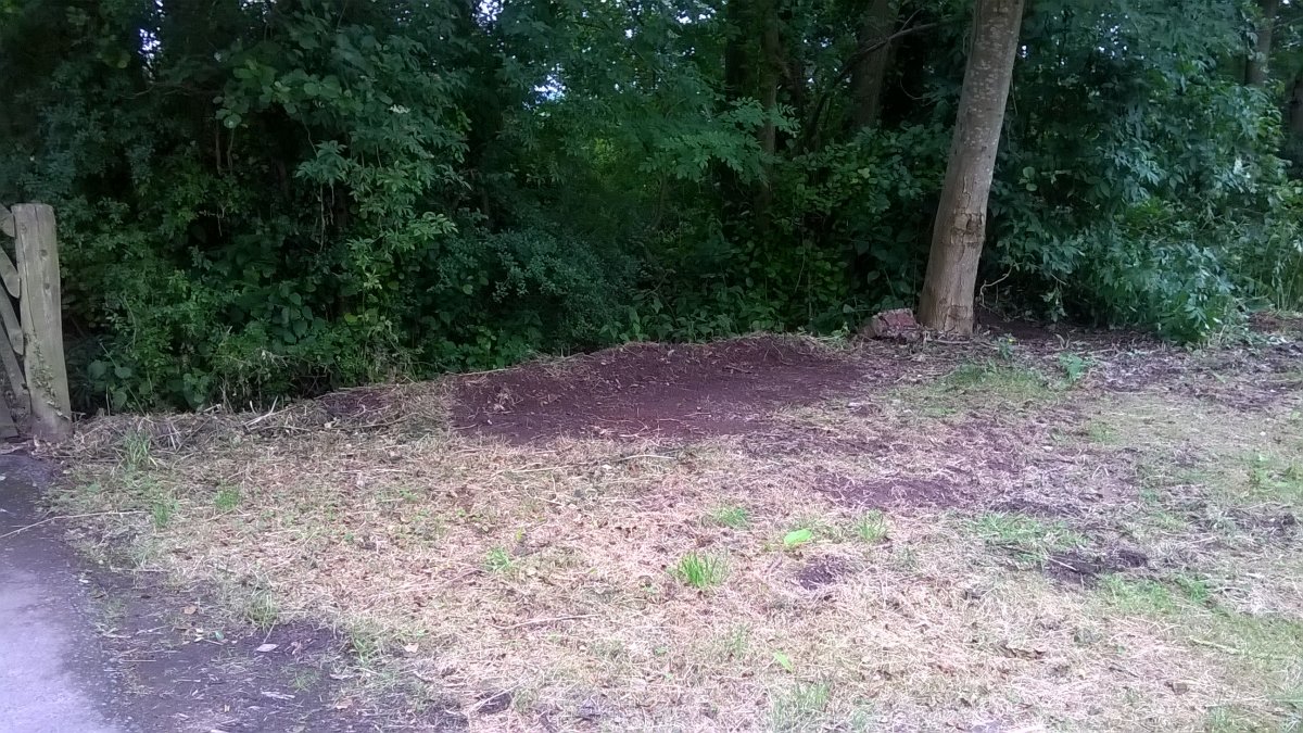 WP_20240630_12_22_56_Pro.jpg