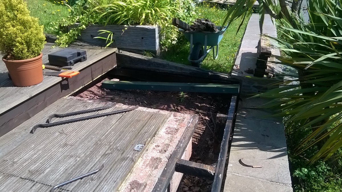 WP_20240722_14_55_12_Pro.jpg
