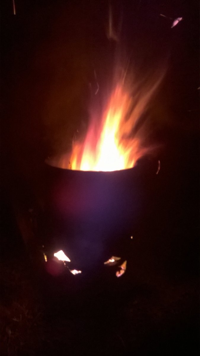 WP_20241001_19_26_09_Pro.jpg