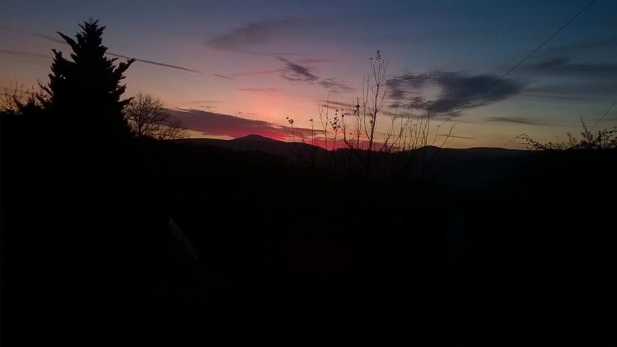 WP_20241113_16_47_42_Pro.jpg