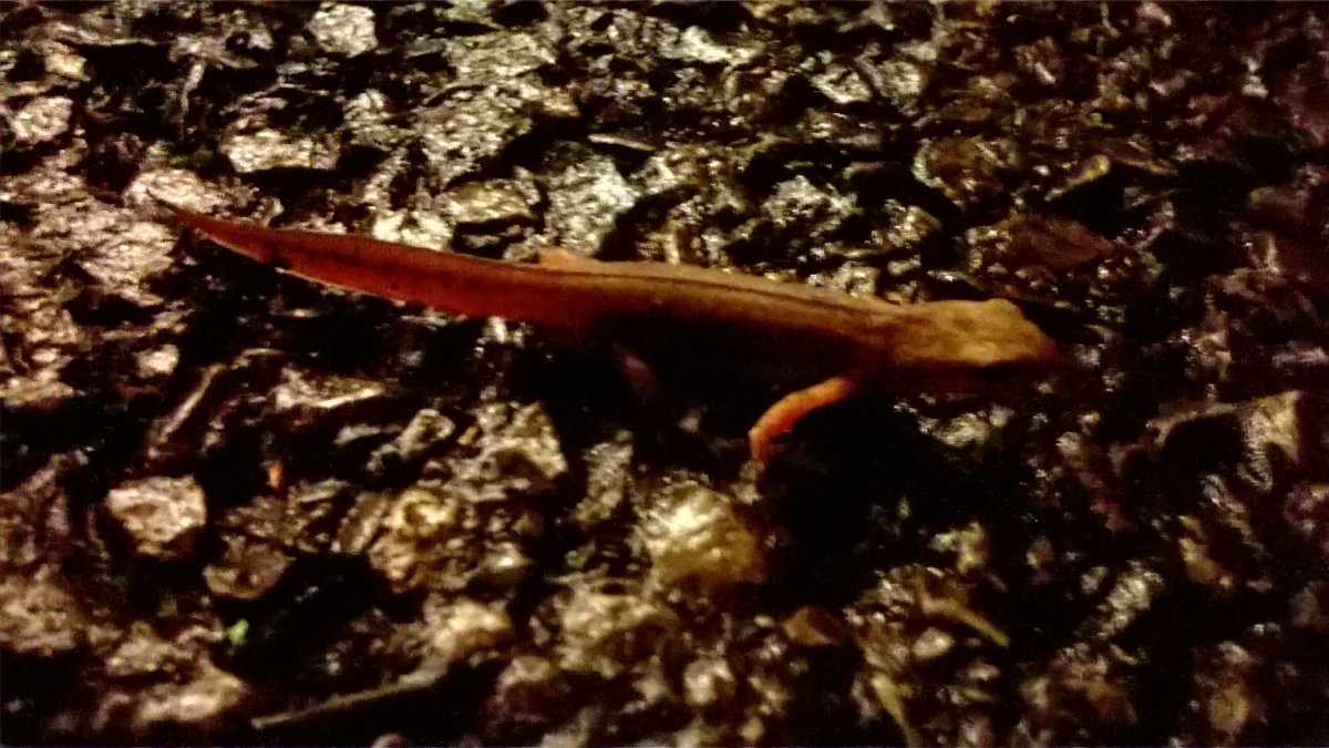 WP_20250221_20_11_56_Pro.jpg