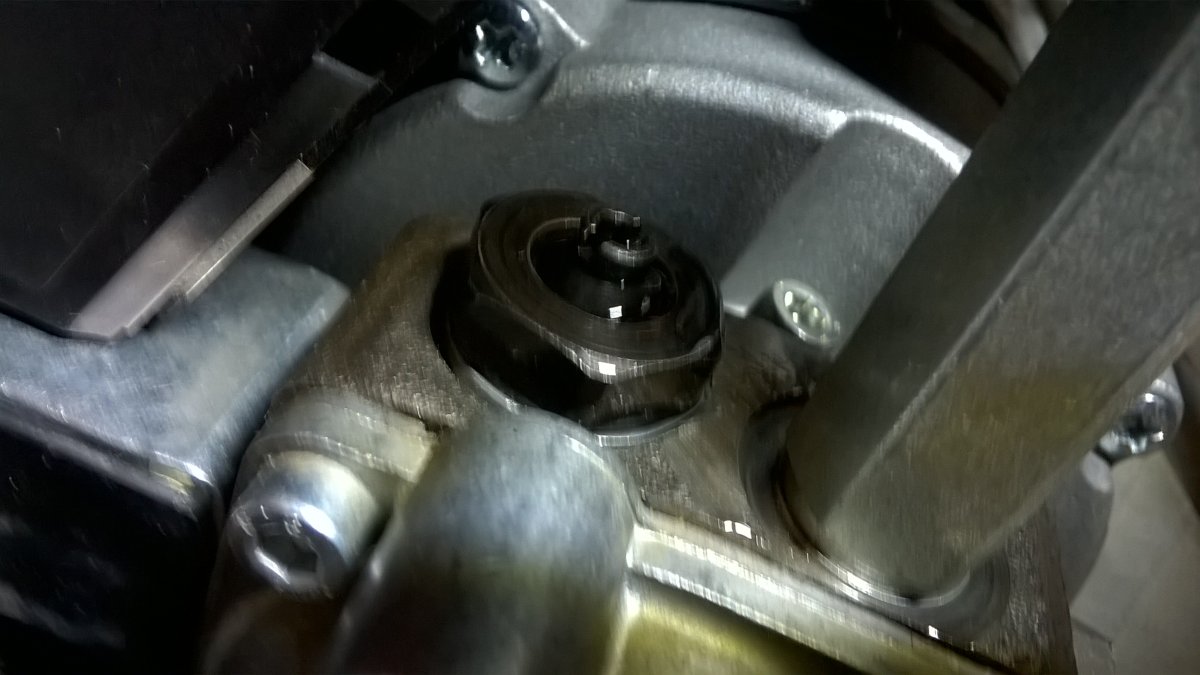 WP_20250313_17_16_44_Pro.jpg