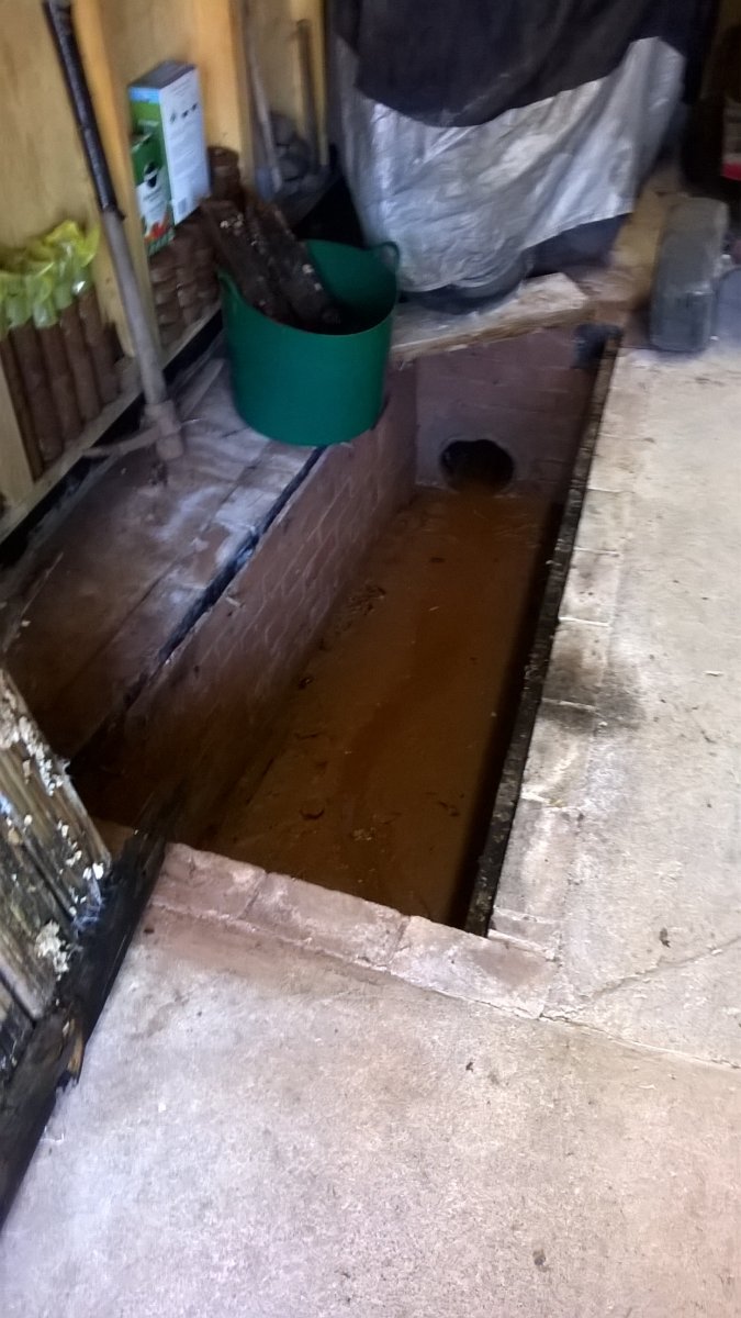 WP_20250324_12_56_55_Pro.jpg