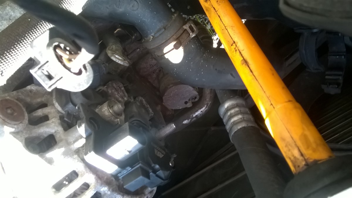 WP_20250516_17_02_26_Pro.jpg