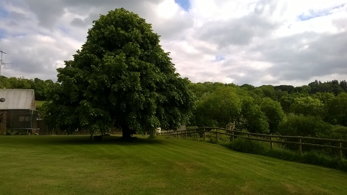 WP_20250519_16_44_40_Pro.jpg