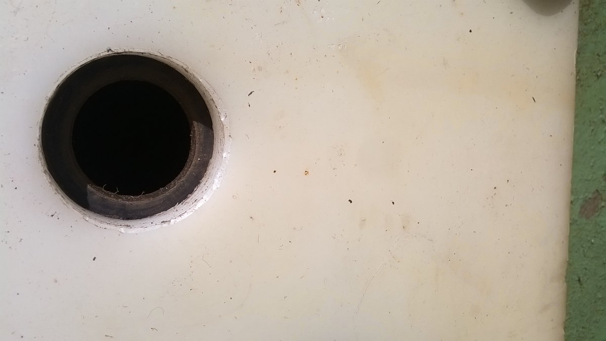 WP_20250616_16_38_22_Pro.jpg