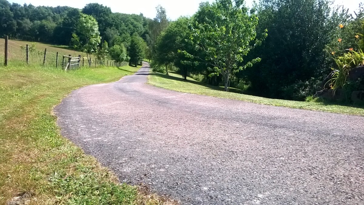 WP_20250628_16_07_06_Pro.jpg