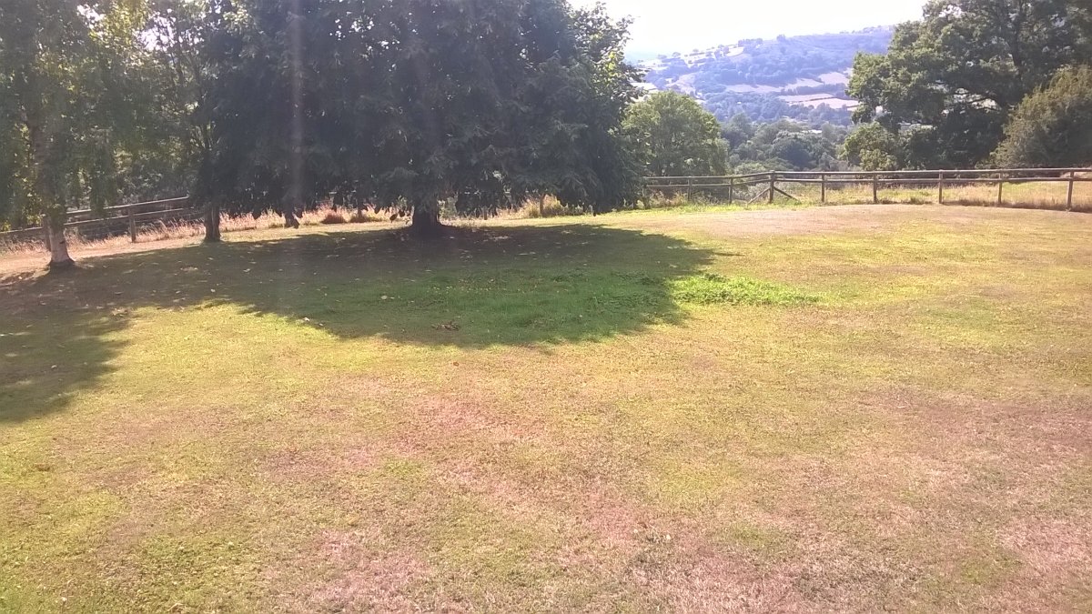 WP_20250731_16_25_59_Pro.jpg