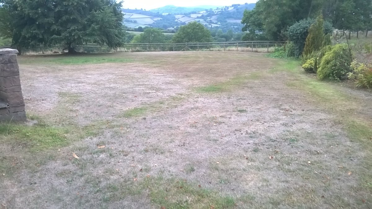WP_20250818_19_33_19_Pro.jpg