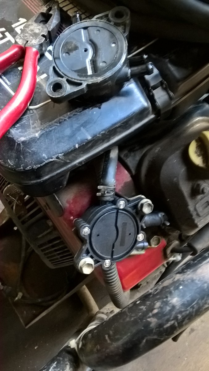 WP_20251024_11_24_09_Pro.jpg