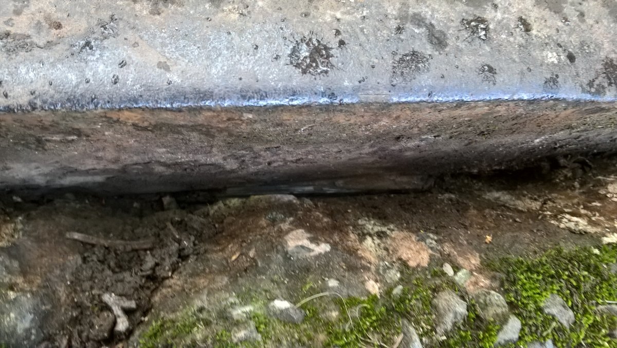 WP_20251024_14_01_47_Pro.jpg