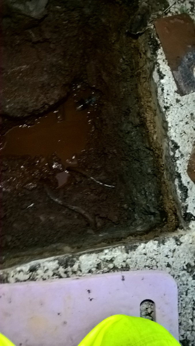 WP_20251213_16_08_57_Pro.jpg