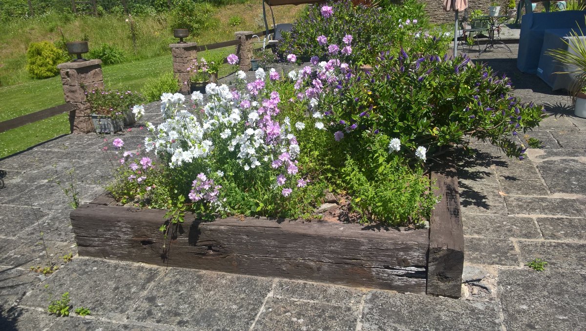 WP_20260626_13_08_58_Pro.jpg