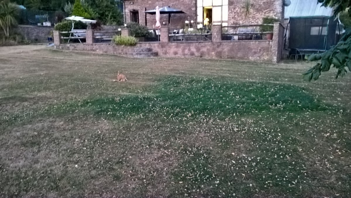 WP_20260712_21_46_22_Pro.jpg