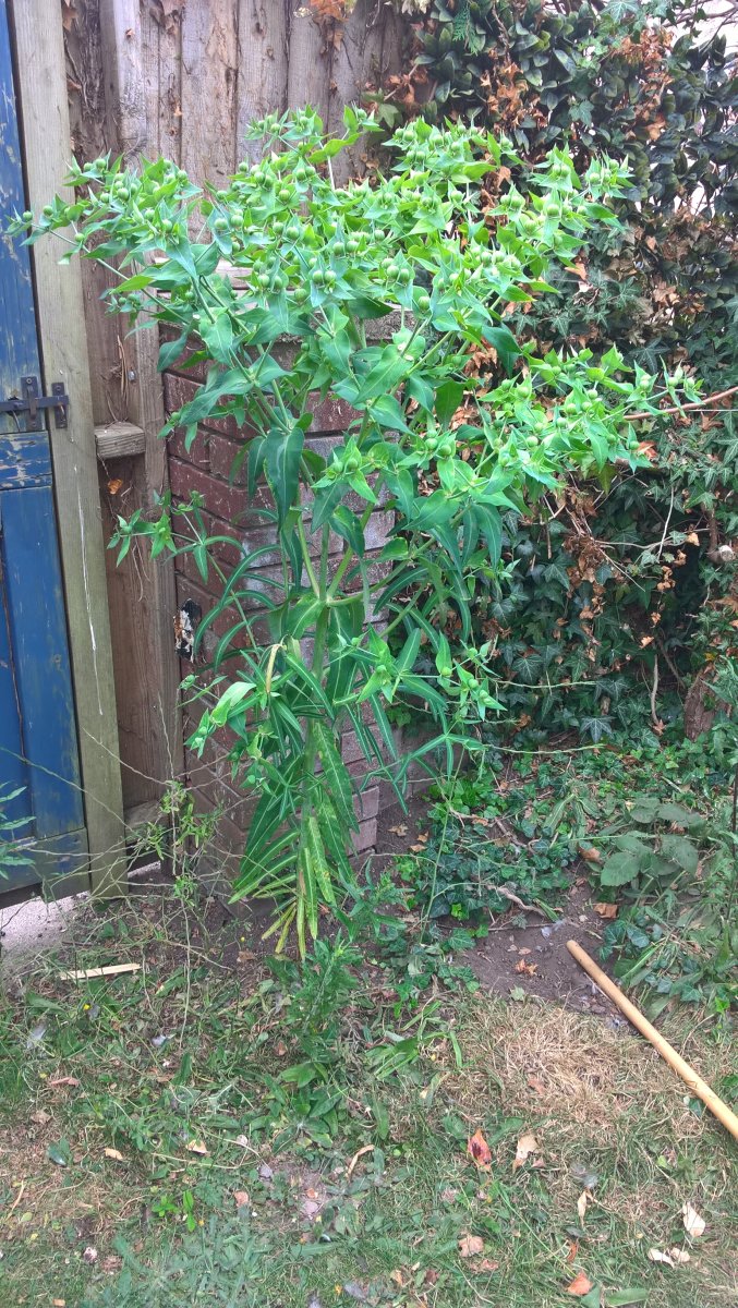 WP_20260714_08_15_17_Pro.jpg