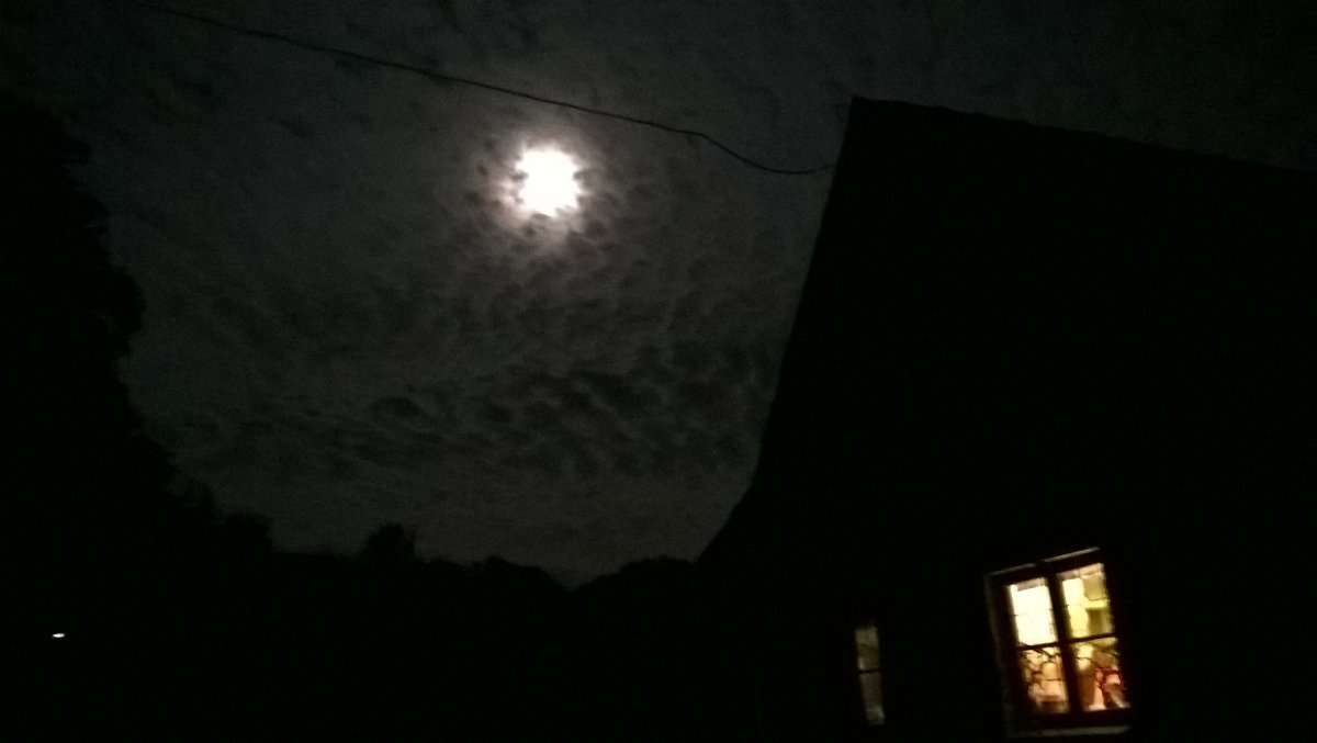 WP_20260802_01_46_00_Pro.jpg