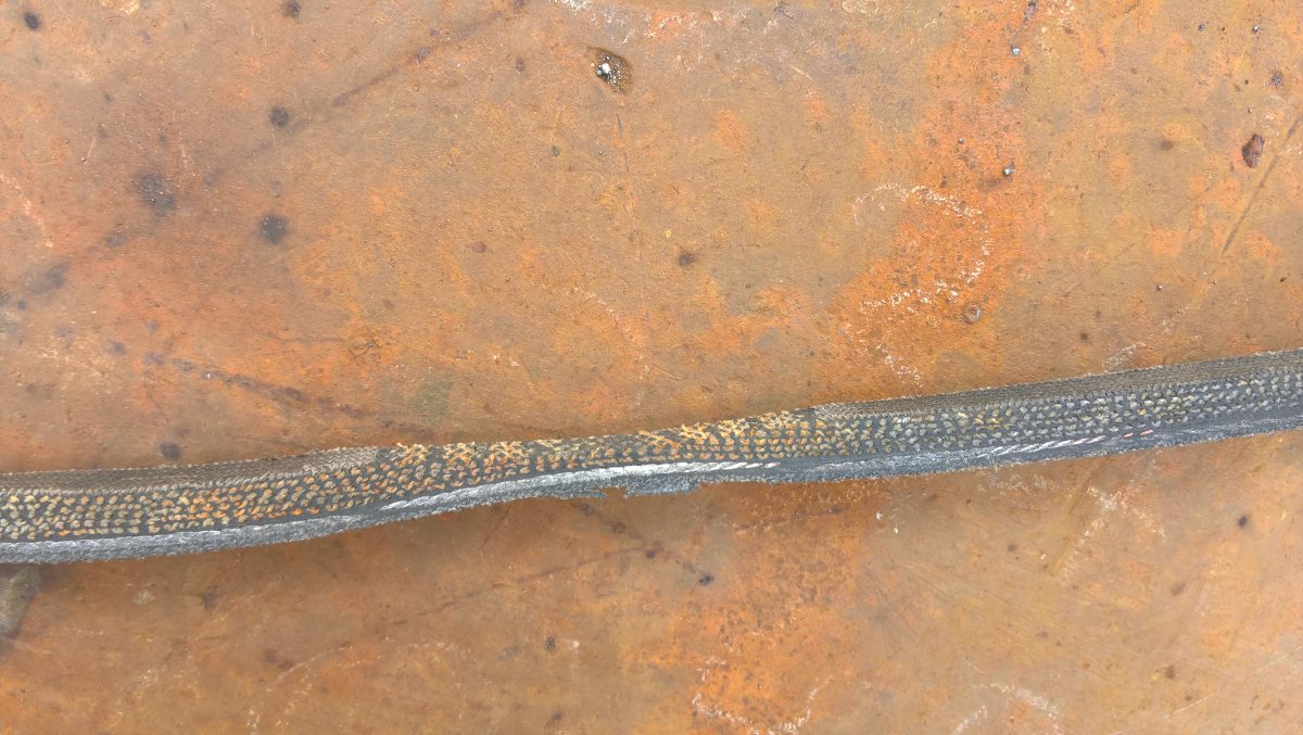WP_20260808_15_57_31_Pro.jpg