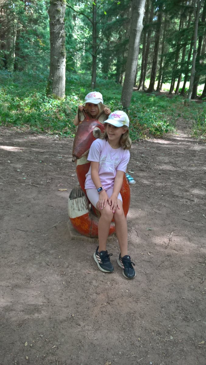 WP_20260809_11_16_53_Pro.jpg