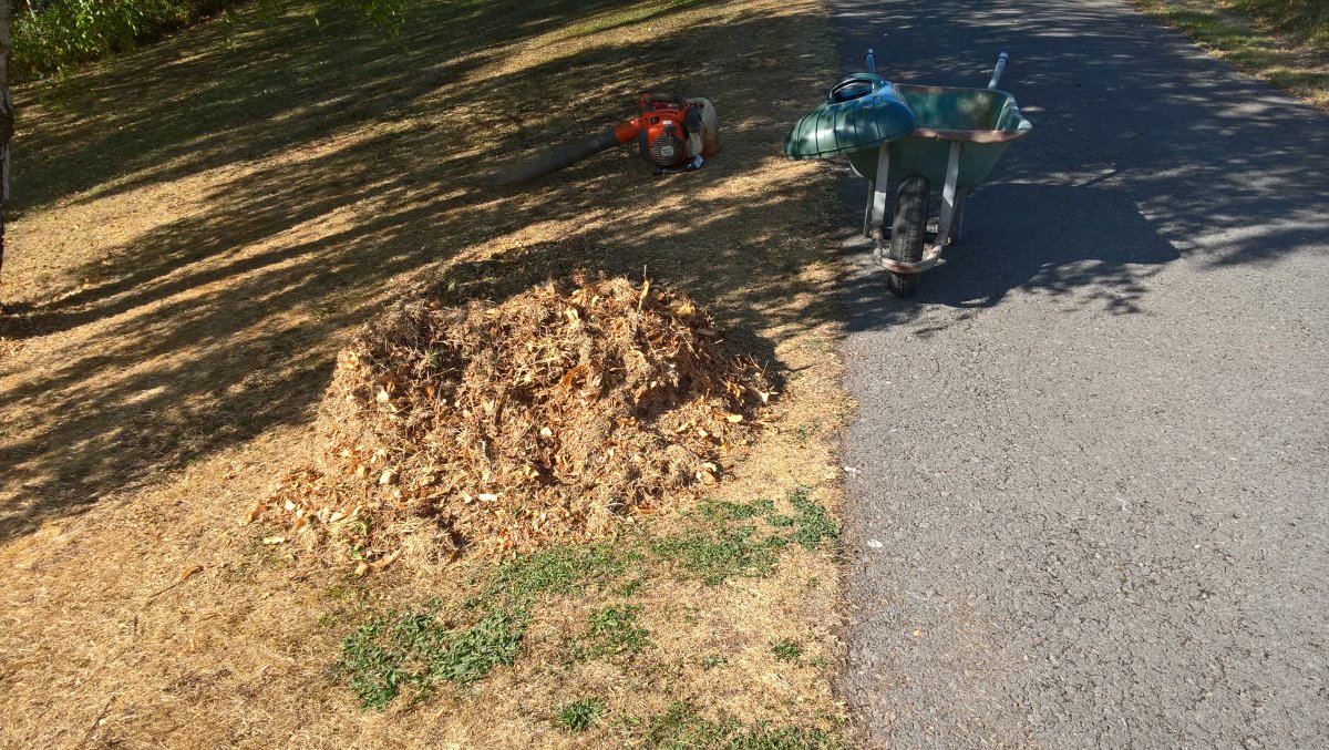 WP_20260823_16_41_11_Pro.jpg