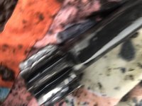 9CE8D32D-93B5-4377-AFC4-B5EAE11FC394.jpeg