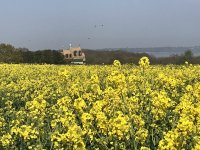 IMG_1350.jpeg