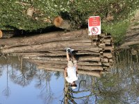 IMG_1351.jpeg